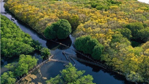 Huế hướng tới thành phố du lịch xanh hàng đầu Việt Nam