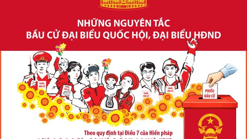 Những nguyên tắc bầu cử đại biểu Quốc hội, đại biểu HĐND