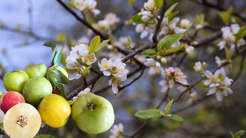 Ngẫm ngợi cuối tuần: Thơ ca bám trụ ở đường biên