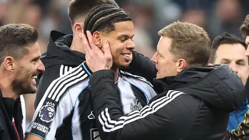 Nhận định Newcastle vs Man City 03h00 ngày 08/03, FA Cup vòng 1/8