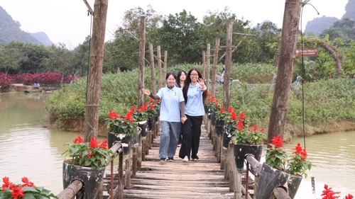 "Đảo hoa" khoe sắc giữa thiên nhiên di sản