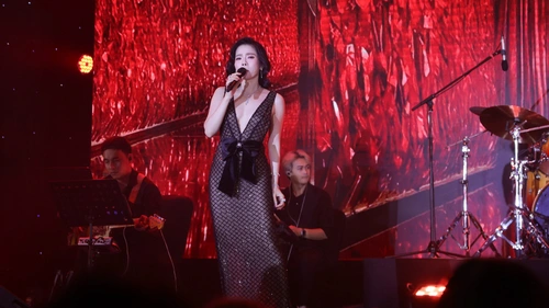 Liveshow của Lệ Quyên ở The Grand Ho Tram đón hơn 2000 khán giả