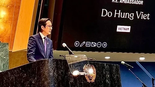 Việt Nam cam kết hành động vì bình đẳng giới và xóa bỏ bạo lực đối với phụ nữ