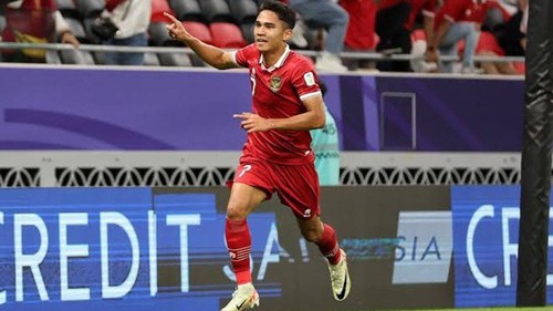 Indonesia công bố đội hình dự AFF Cup, vắng hầu hết sao nhập tịch