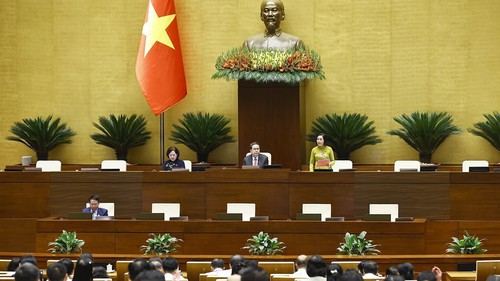 Nghị quyết phê chuẩn kết quả bầu Phó Chủ tịch Hội đồng nhân dân các tỉnh, thành phố