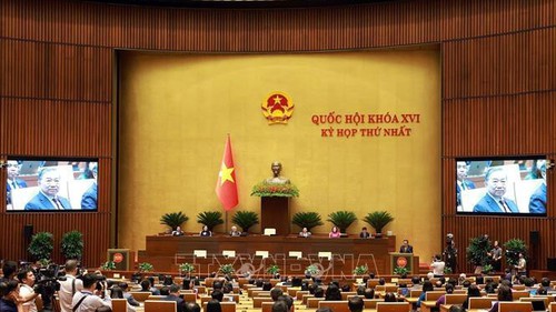 Nghị quyết Kỳ họp thứ Nhất, Quốc hội khóa XVI