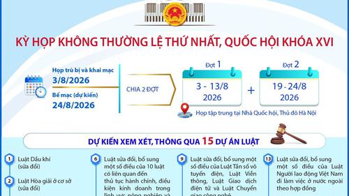 Nội dung Kỳ họp không thường lệ thứ Nhất, Quốc hội khóa XVI