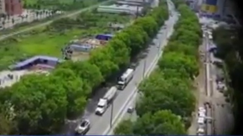 VIDEO: Cân nhắc chặt hạ cây xanh giữa nắng nóng trên 40 độ C