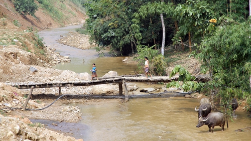 Phú Thọ xây dựng 66 cầu dân sinh vùng đặc biệt khó khăn