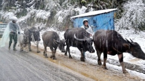 Hôm nay không khí lạnh tăng cường, miền Bắc tiếp tục rét sâu