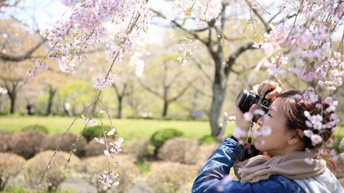 Du Xuân Tết nguyên đán 2018: Những điểm đến hấp dẫn ở châu Á