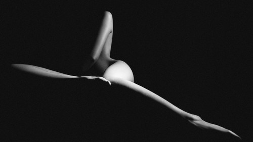 Đã đến lúc ảnh khỏa thân nghệ thuật được 'cởi trói'? (Kỳ 3 & hết)