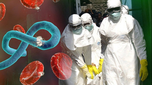 Bộ Y tế khuyến cáo cảnh giác phát hiện sớm, phòng lây nhiễm bệnh do vi rút Ebola