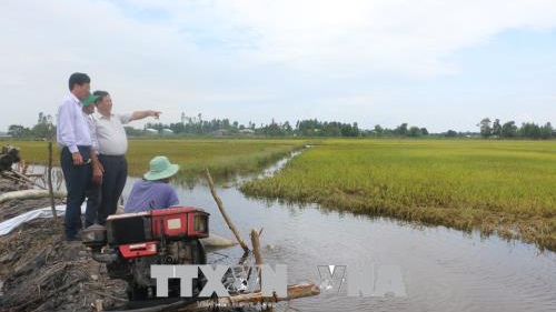 Vỡ đập tại Lào và lũ thượng nguồn có thể khiến mực nước ở Đồng bằng sông Cửu Long dâng lên