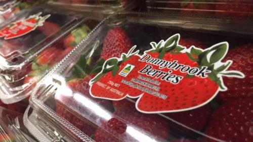 Chiếc kim khâu hủy hoại cả ngành công nghiệp trái cây tươi ở Australia