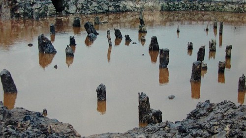 Chờ 'đánh thức' di tích Bãi cọc Bạch Đằng