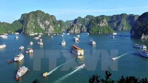 Đình chỉ hoạt động 2 tàu du lịch do vi phạm quy định về quản lý hoạt động tàu du lịch trên vịnh Hạ Long