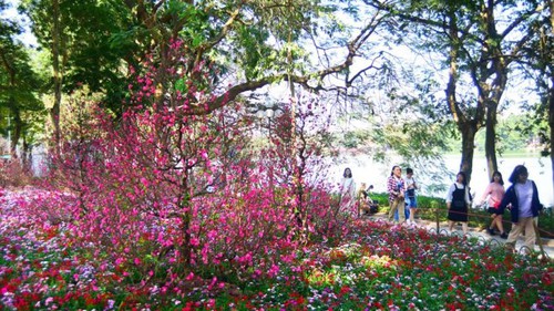 Hết Tết, còn Xuân