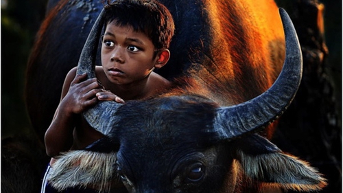 'Cứ theo lối mòn thì không cần nhiếp ảnh chuyên nghiệp'