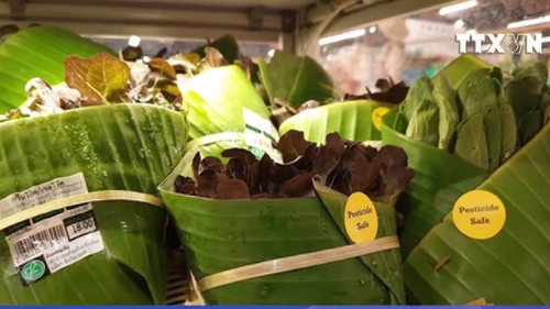 VIDEO: Siêu thị Thái Lan dùng lá chuối thay nilon để gói hàng