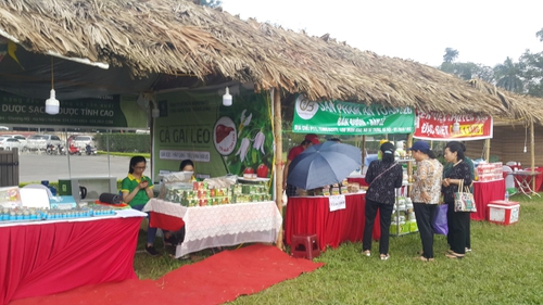 Chủ tịch Hà Nội yêu cầu xử lý vi phạm tại 'Festival văn hóa truyền thống Việt 2019'