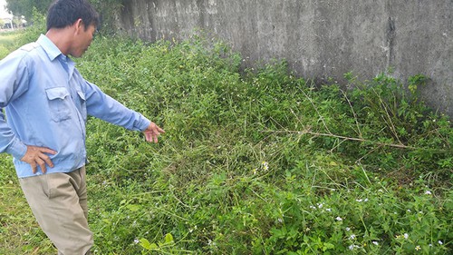 Điều tra việc học sinh lớp 2 ở Nghệ An nghi bị xâm hại