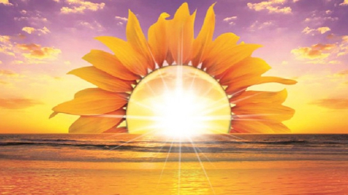 Truyện cười bốn phương: Chân trời rất béo, lại trắng...