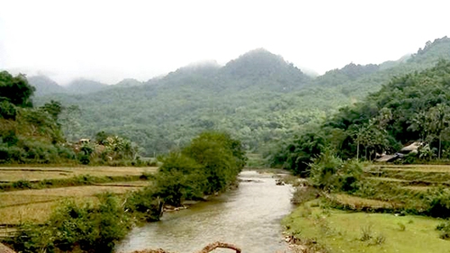 Trên đường ra đồng gặt lúa, hai nông dân Thanh Hóa bị điện giật tử vong