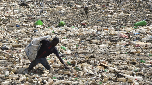 LHQ kêu gọi hành động nhân Ngày Môi trường Thế giới