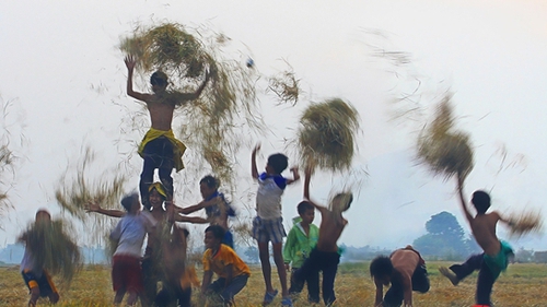 Sống chậm cuối tuần: Tháng Mười ra đồng gặt lúa