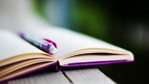 Truyện cười: Nhật ký