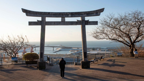 Hoa anh đào lại nở trên vùng đất hoang tàn