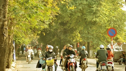 Thời tiết miền Bắc nồm ẩm buổi sáng, ngày trời ấm