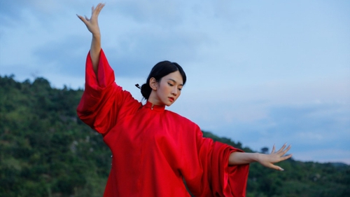 MV 'Chim quý trong lồng' - Sổ lồng bay đi