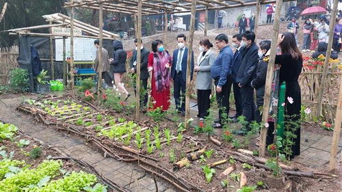 Hà Nội nghiên cứu phát triển bãi giữa, bãi bồi ven sông Hồng thành công viên văn hóa du lịch