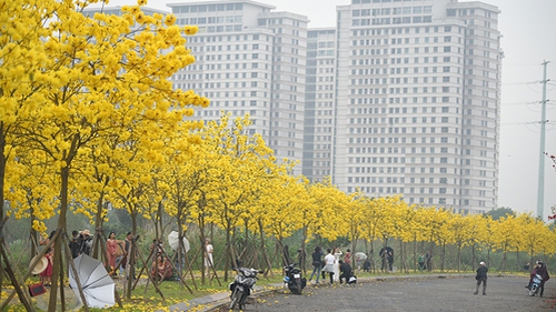 Chào tuần mới: 'Xanh xanh thắm, bầu trời xanh Hà Nội'