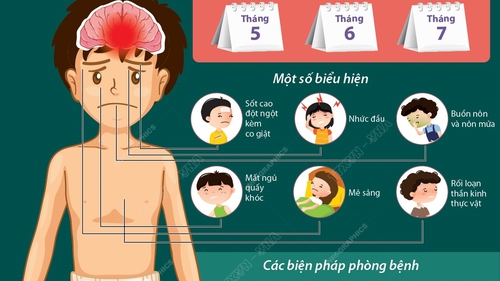 Viêm não Nhật Bản: Biểu hiện và cách phòng ngừa