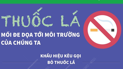 Ngày Thế giới không thuốc lá 31/5: Thuốc lá - Mối đe dọa tới môi trường của chúng ta