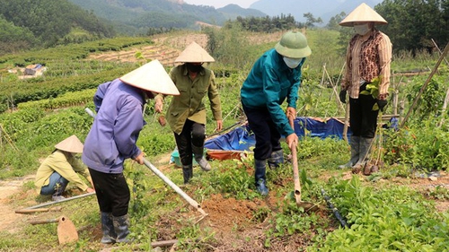 Quảng Ninh không lấn biển, lấn rừng để phát triển công nghiệp