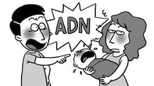 Truyện cười bốn phương: Thử ADN