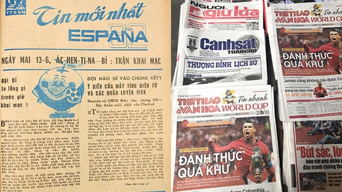 Những chặng đường Tin nhanh World Cup