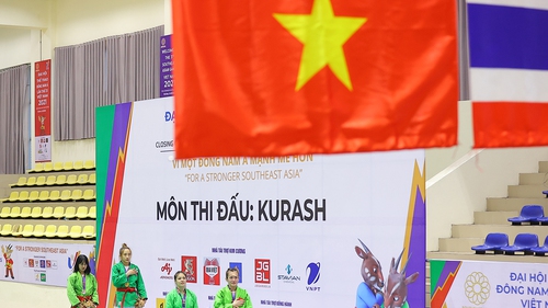 Chuyên gia: 'SEA Games chỉ thành công khi chúng ta dẫn đầu các môn thể thao Olympic'