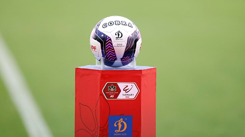 Người quan sát: Đường dài thử sức ngựa