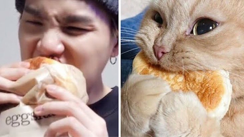 Phải có lý do rõ ràng tại sao ARMY lại gọi Suga BTS là 'Lil Meow Meow'