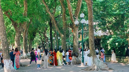 Choáng ngợp khung cảnh người người đổ về phố Phan Đình Phùng để chụp ảnh, săn nắng thu thơ mộng