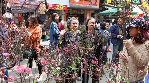 Nhộn nhịp chợ hoa Hàng Lược, một năm chỉ họp một lần duy nhất