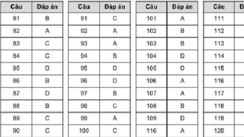 Gợi ý đáp án đề tham khảo thi tốt nghiệp THPT năm 2020