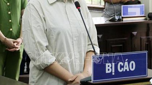 Hà Nội: Phạt tù 3 đối tượng trong đường dây mang thai hộ