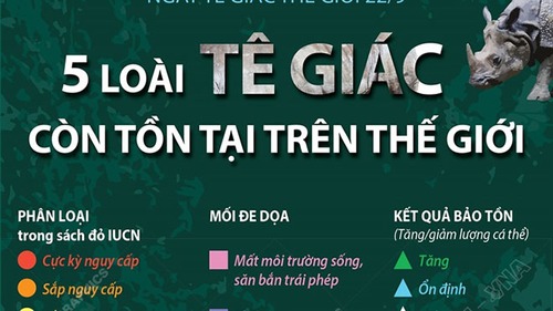 Ngày Tê giác thế giới 22/9: 5 loài tê giác còn tồn tại trên thế giới