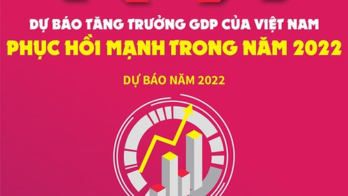 Dự báo tăng trưởng GDP của Việt Nam phục hồi mạnh trong năm 2022